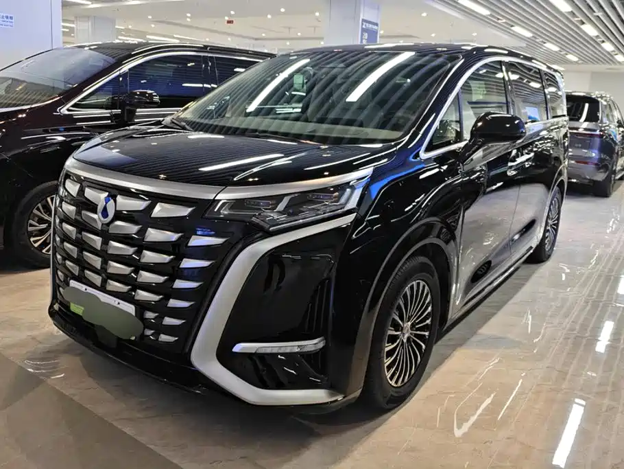 Denza Denza D9