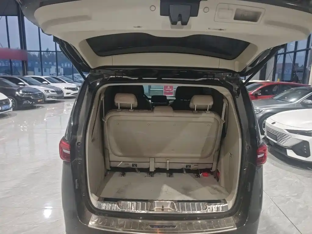 Buick GL8 — миниатюра 19