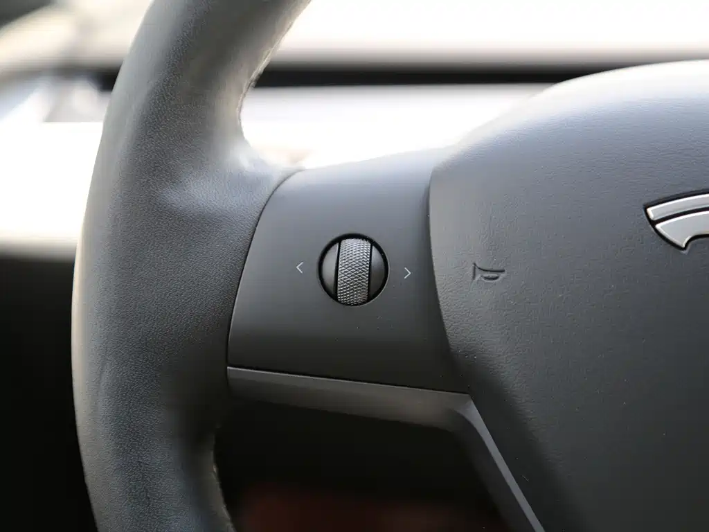Tesla Model Y — миниатюра 10