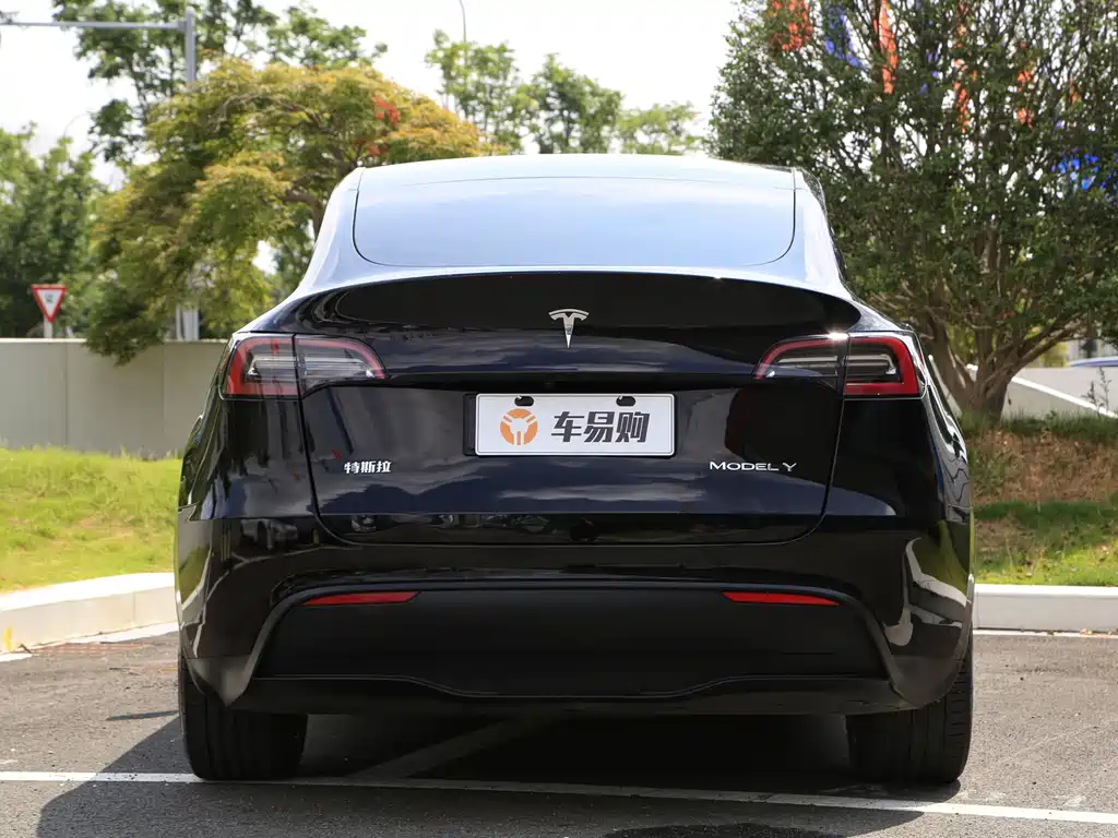 Tesla Model Y — миниатюра 19