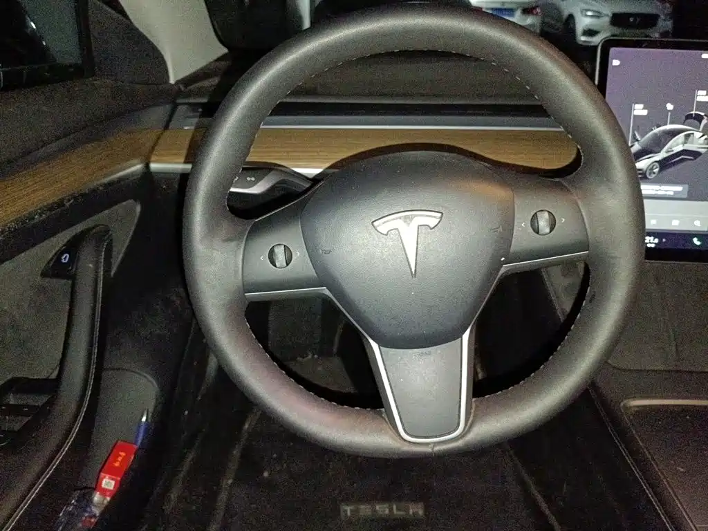 Tesla Model 3 — миниатюра 6