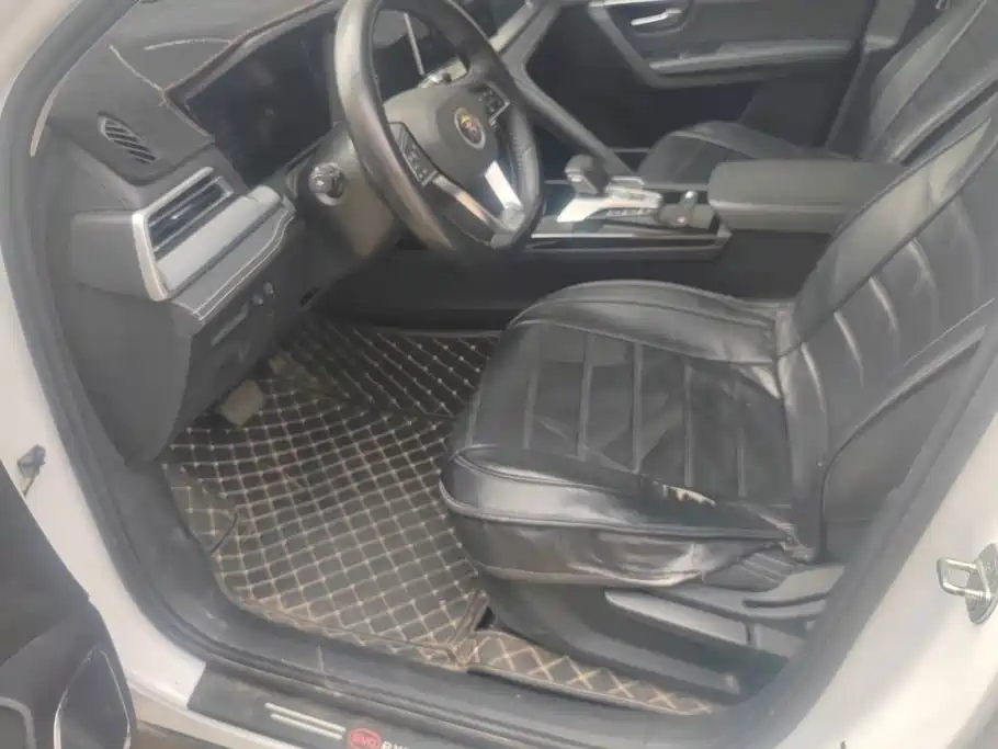BYD Pro — миниатюра 9