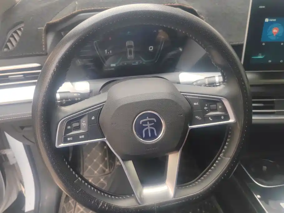 BYD Pro — миниатюра 15