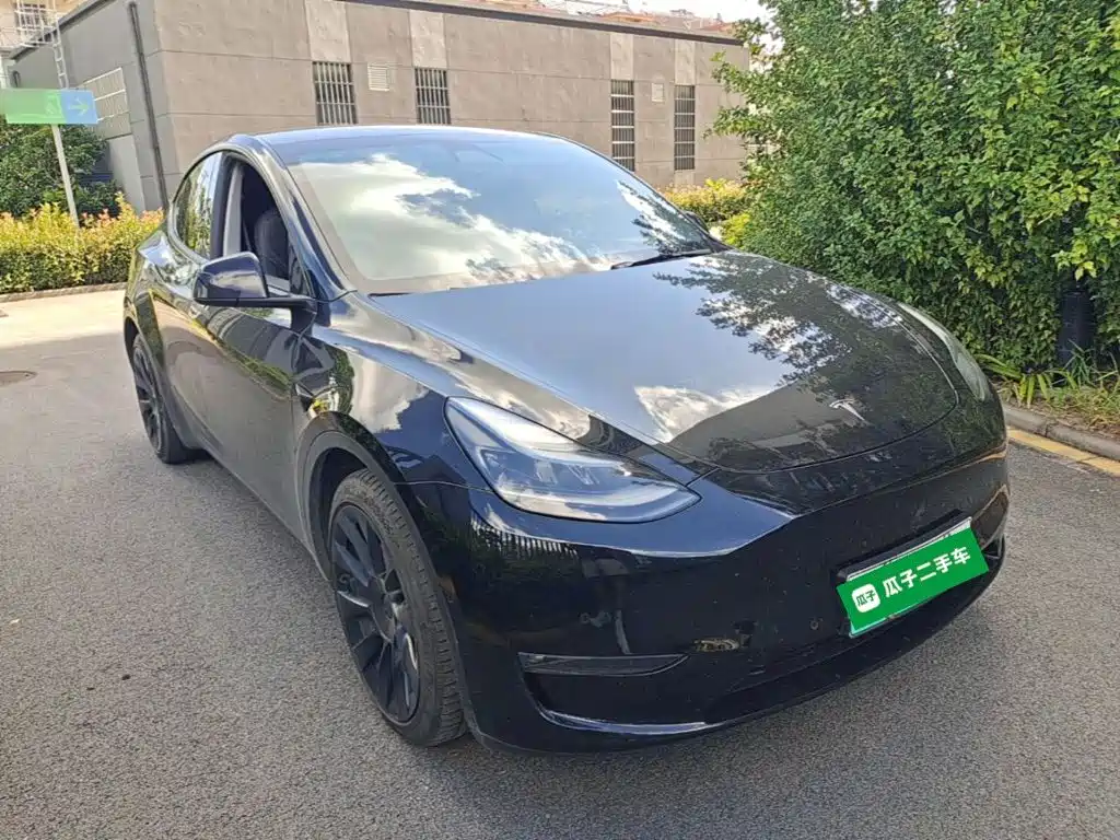 Tesla Model Y — миниатюра 4