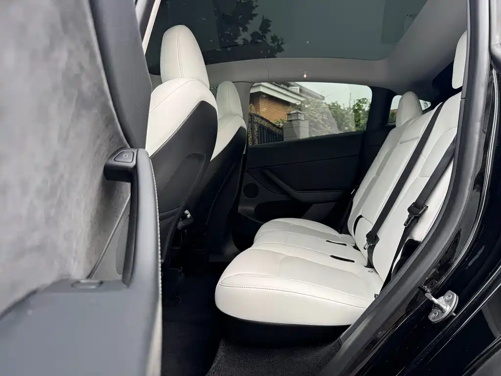 Tesla Model Y — миниатюра 10