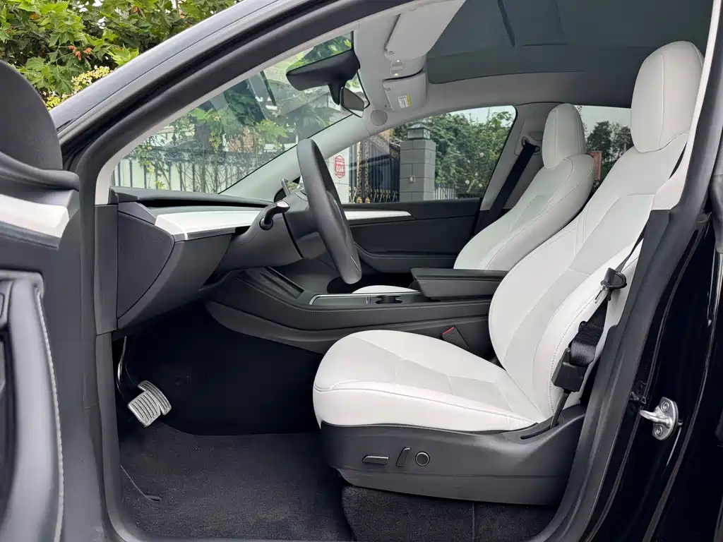 Tesla Model Y — миниатюра 4