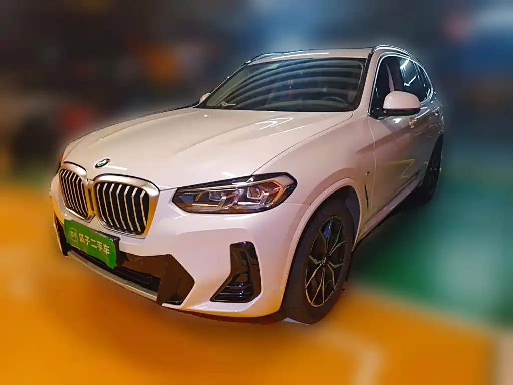 BMW X3 — миниатюра 2