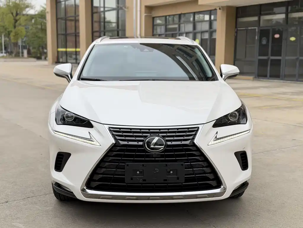 Lexus NX 2020 200 VI