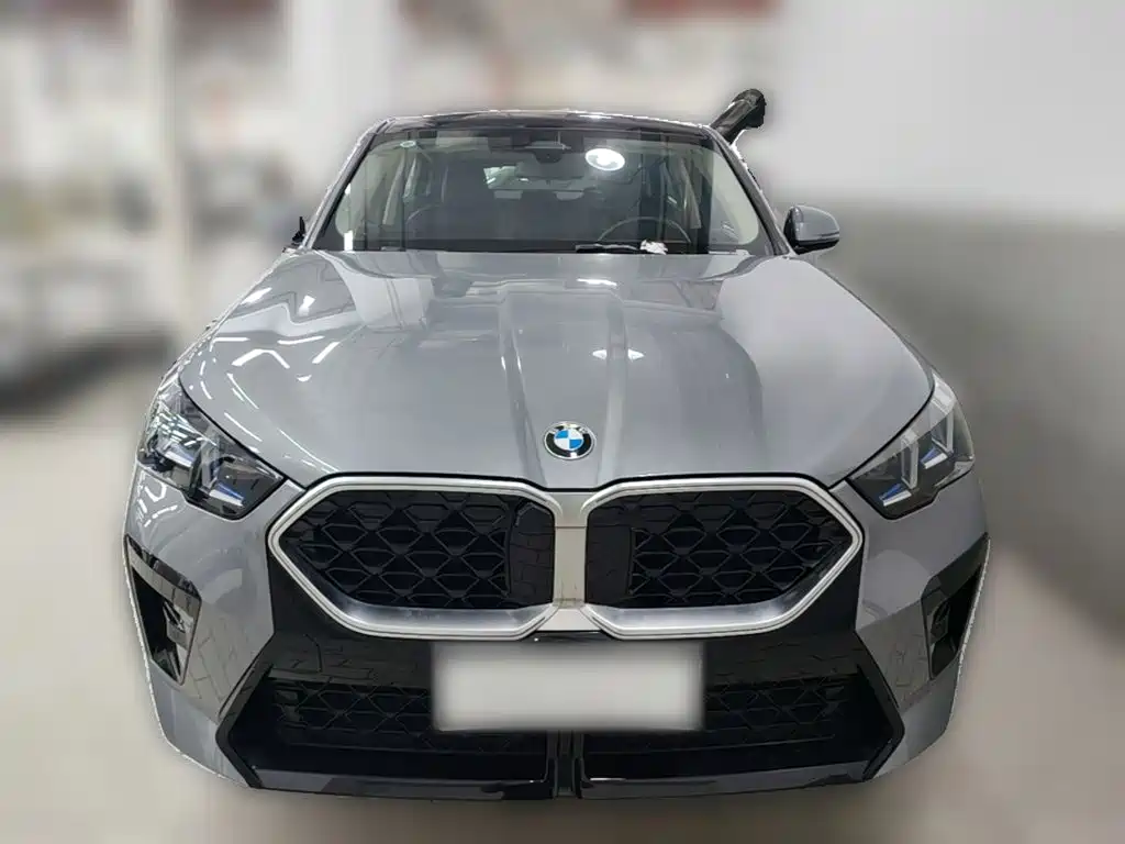 BMW X2 (Import) — миниатюра 5