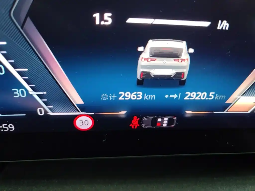 BMW X2 (Import) — миниатюра 17