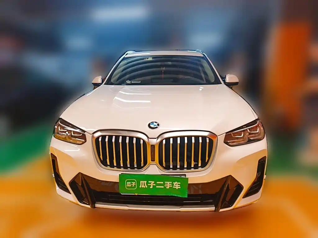 BMW X3 — миниатюра 23