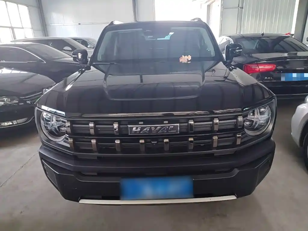 Haval Cool Dog — миниатюра 3