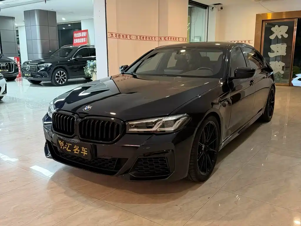 BMW 5 Series — миниатюра 3