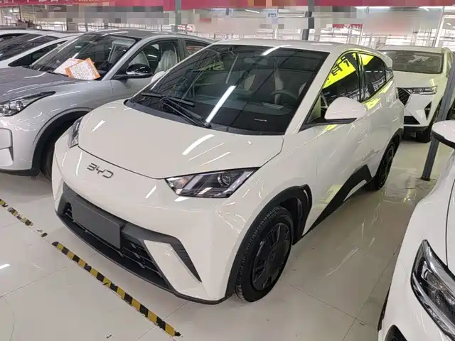 2025 BYD Seagull
