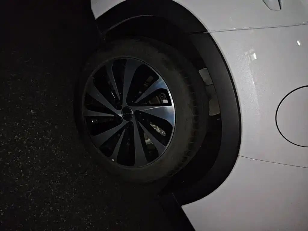BYD PLUS New Energy — миниатюра 25