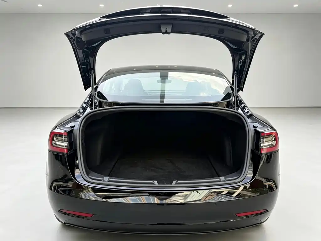 Tesla Model 3 — миниатюра 14