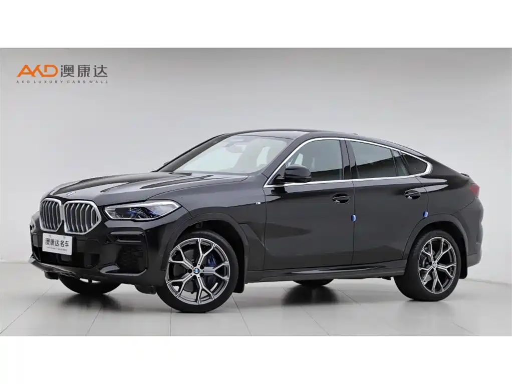BMW X6 2021