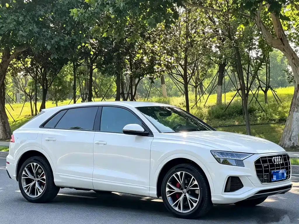 Audi Q8 — миниатюра 3