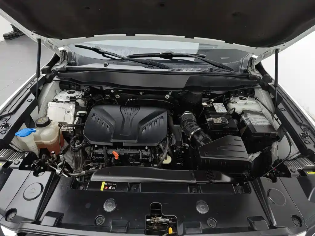 Haval Big Dog — миниатюра 6