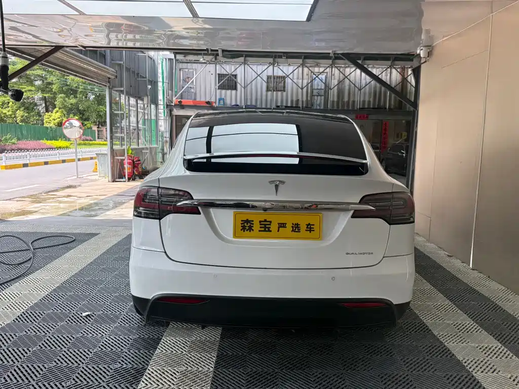 Tesla Model X 2017 Model X 100D