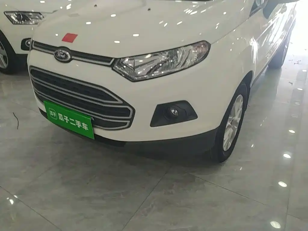 Ford Ecosport — миниатюра 24
