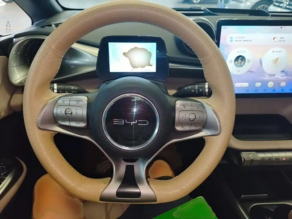BYD Dolphin — миниатюра 11