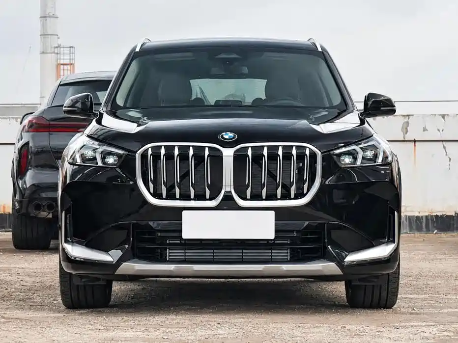BMW X1 — миниатюра 2