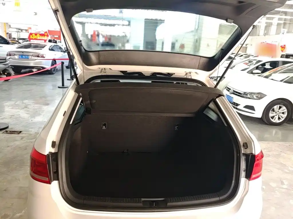 Volkswagen Gran Lavida — миниатюра 19