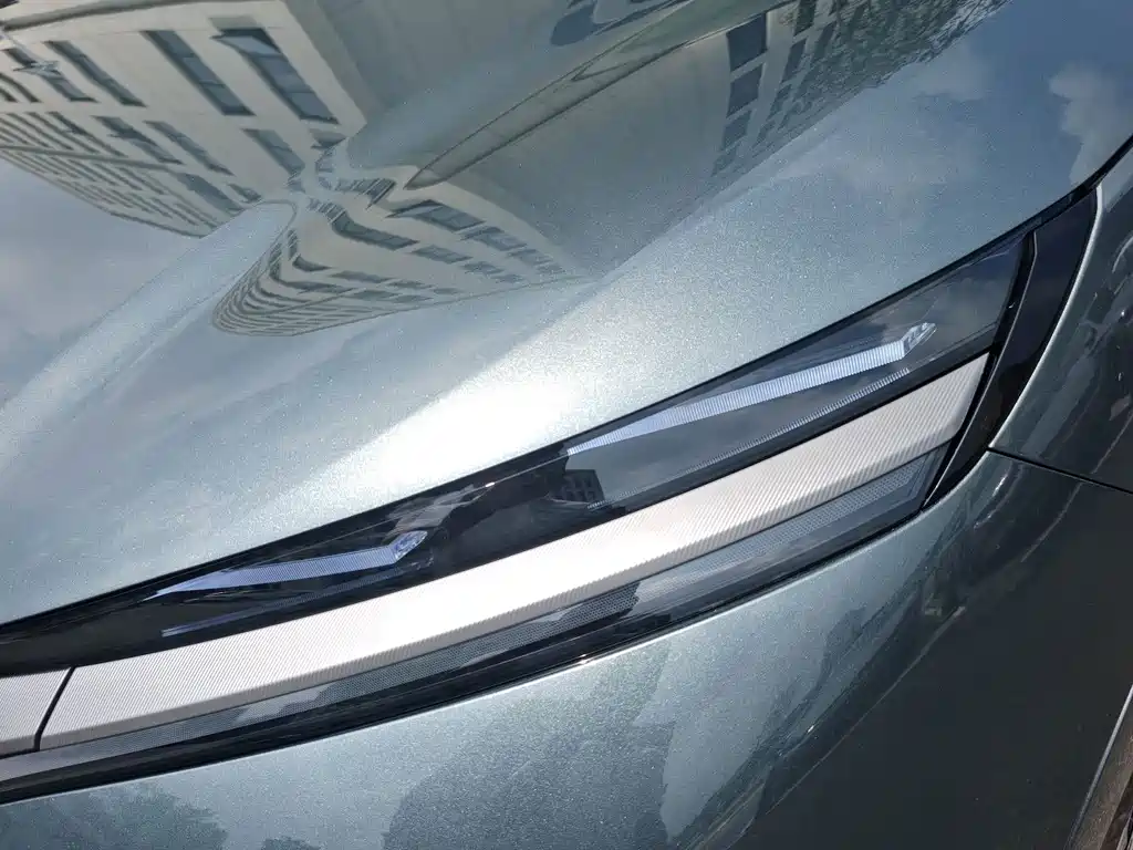BYD Дон Л. — миниатюра 17