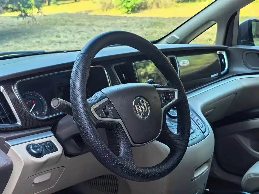 Buick GL8 — миниатюра 7