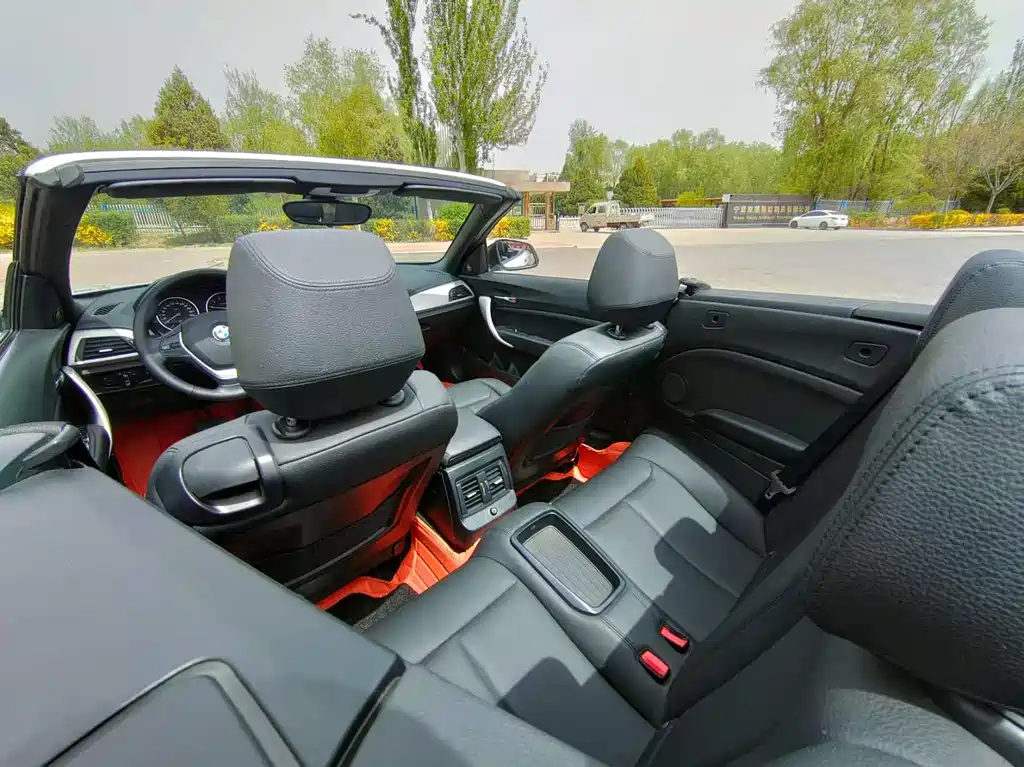 BMW 2 Series (Import) 218i Convertible Coupe, фото 6