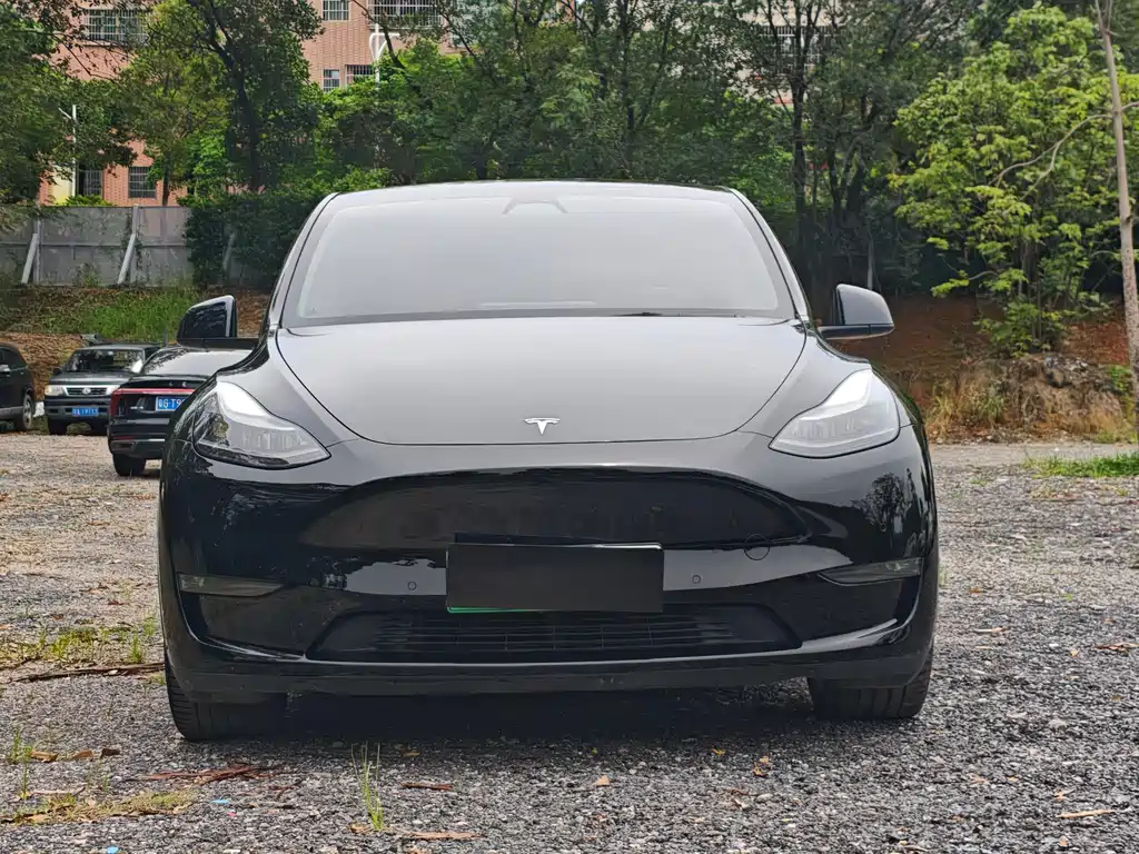 Tesla Model Y — фотографии объявления, Фото 3