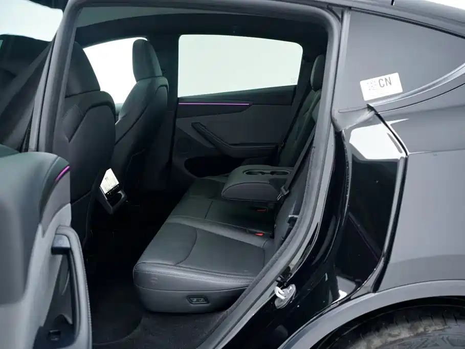 Tesla Model Y — миниатюра 6