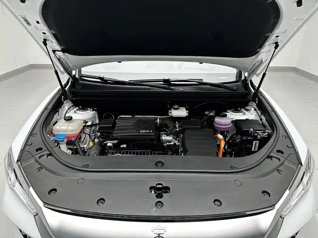 BYD Pro New Energy — миниатюра 16