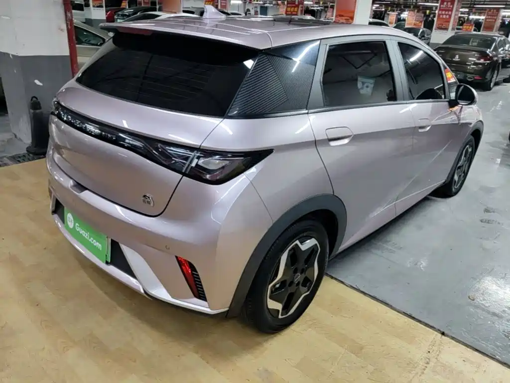 BYD Dolphin 2021 405km Fashion