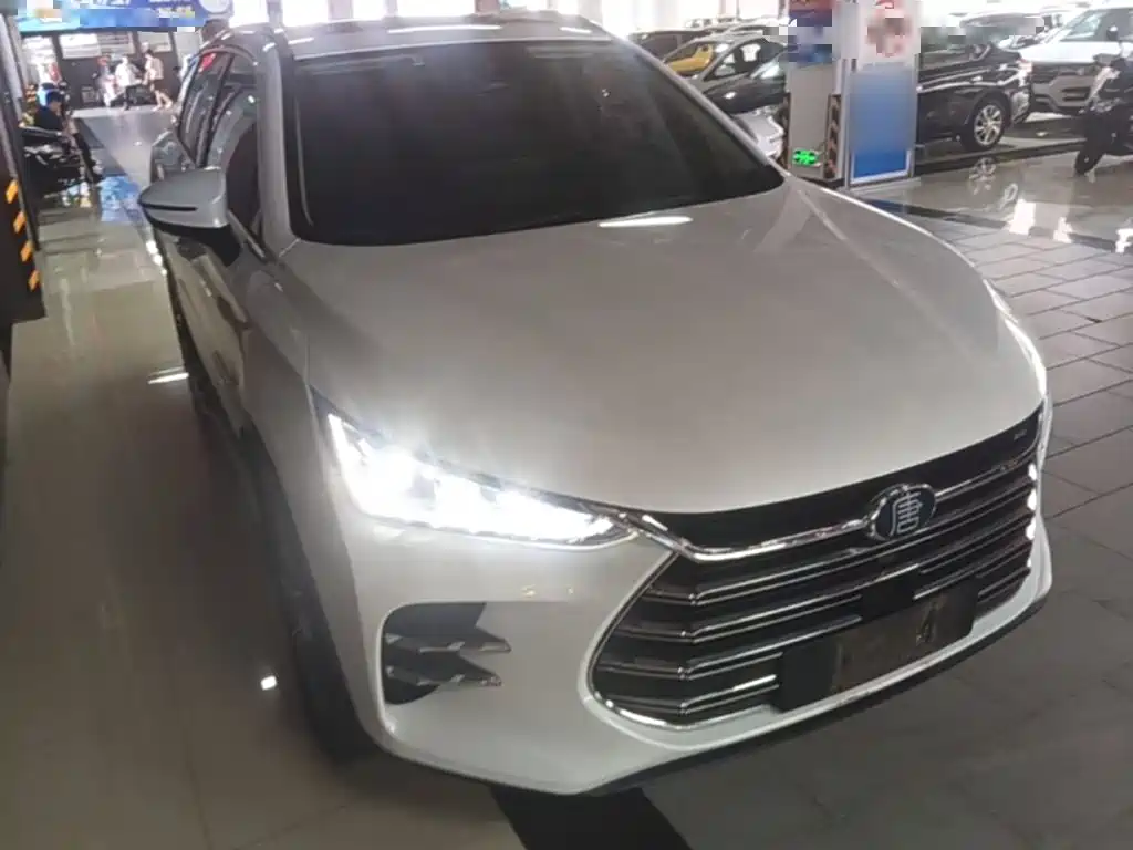 BYD Tang New Energy — миниатюра 4