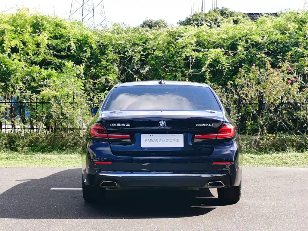 BMW 5 Series — миниатюра 5
