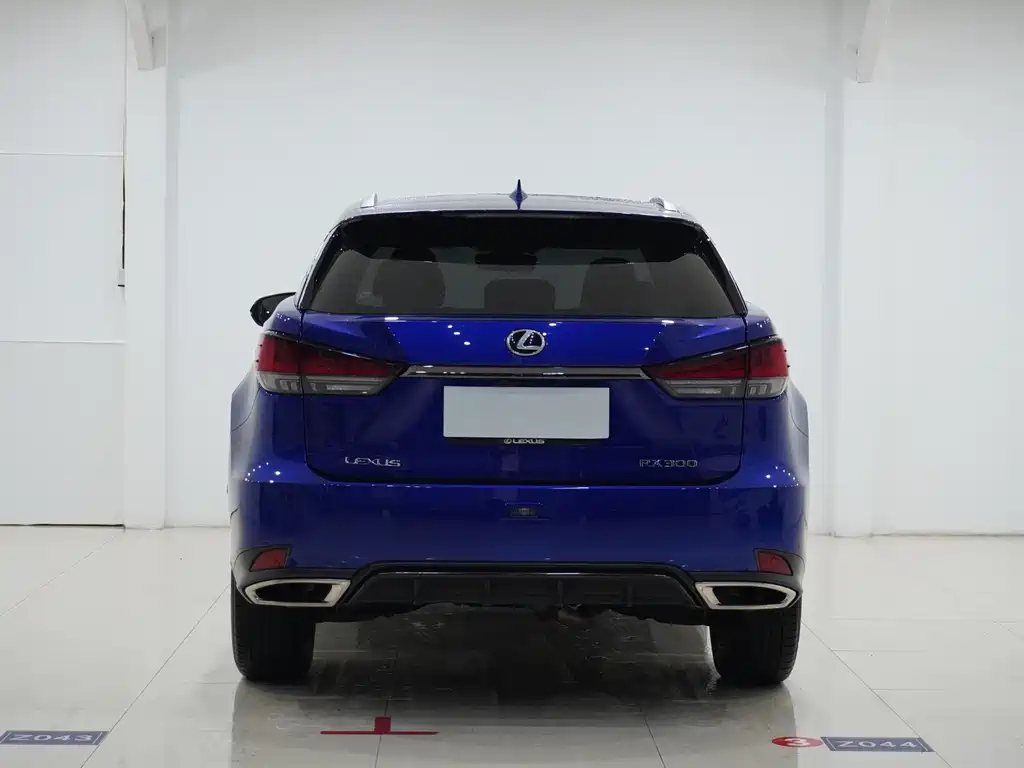 Lexus RX 2020 300 F SPORT