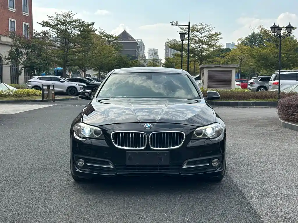 BMW 5 Series (Import) — миниатюра 2