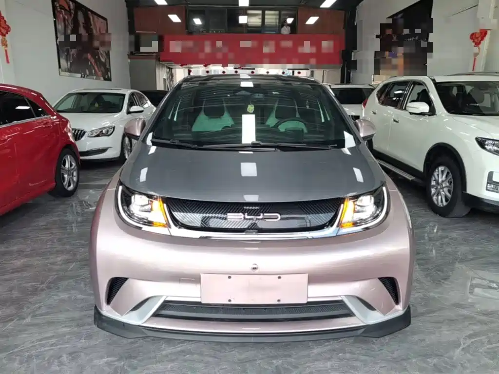 BYD Dolphin — миниатюра 3