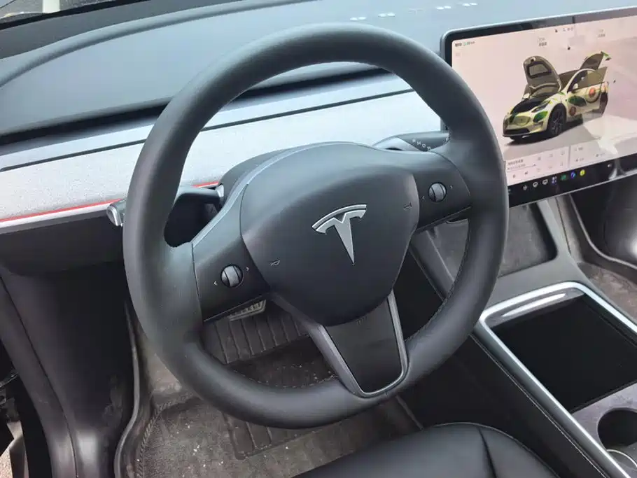Tesla Model Y — миниатюра 15