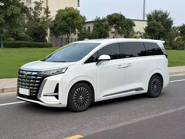 Denza D9