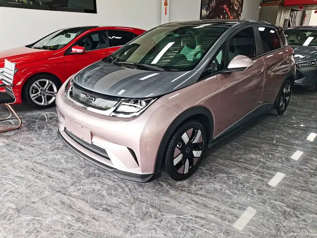 BYD Dolphin
