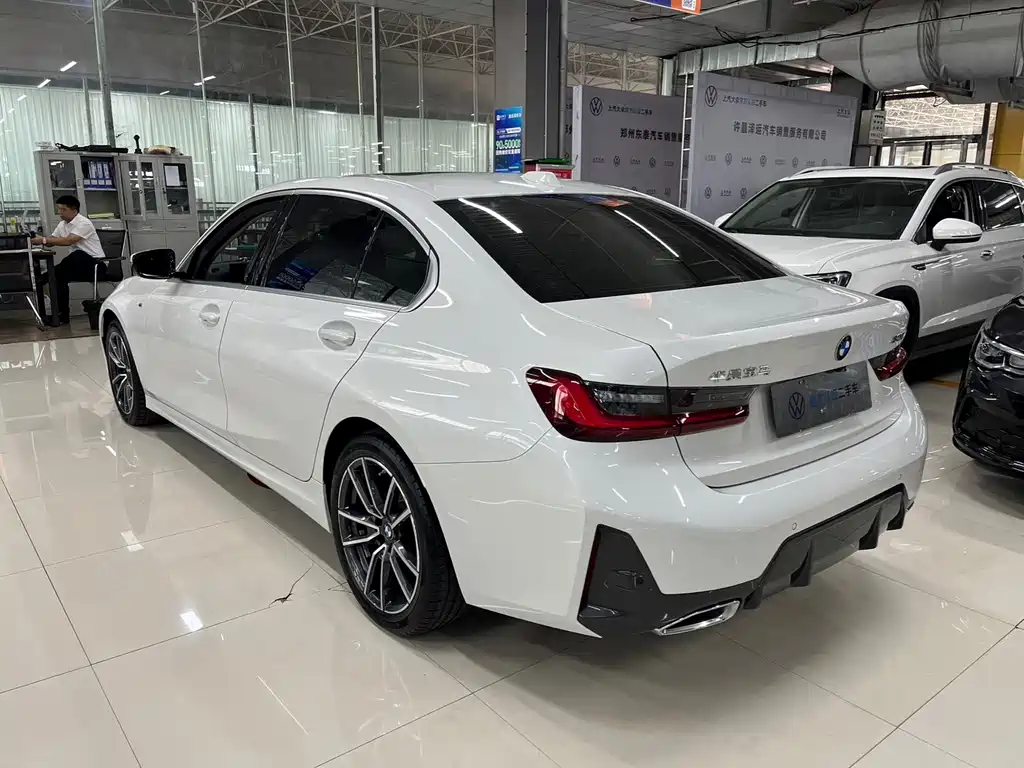 BMW 3 Series 320Li M Sport Package, фото 10