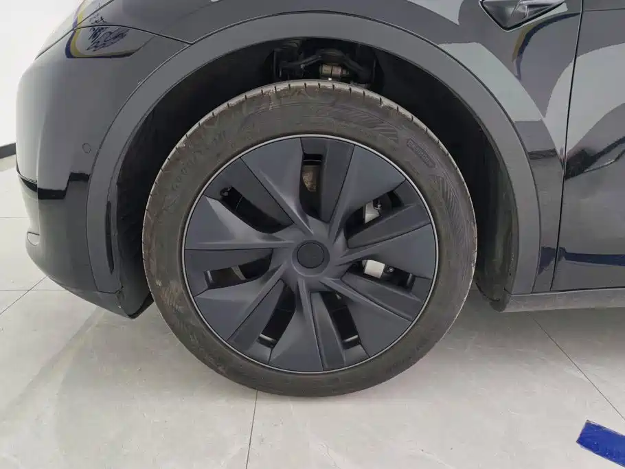 Tesla Model Y — миниатюра 6