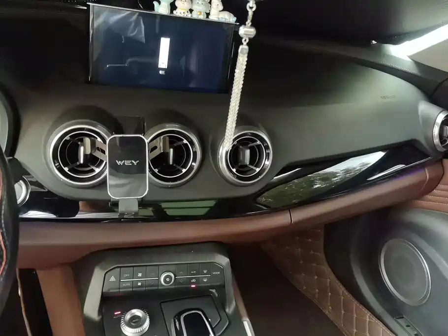 Wey Wey P8 — миниатюра 13