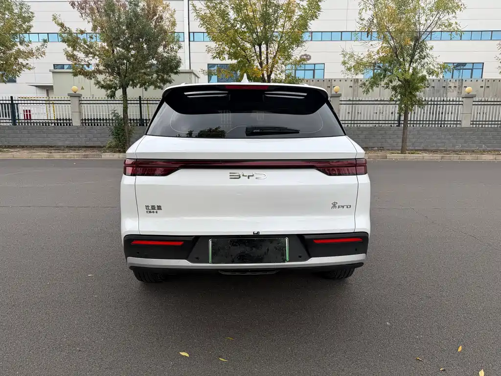 BYD Pro New Energy — миниатюра 11