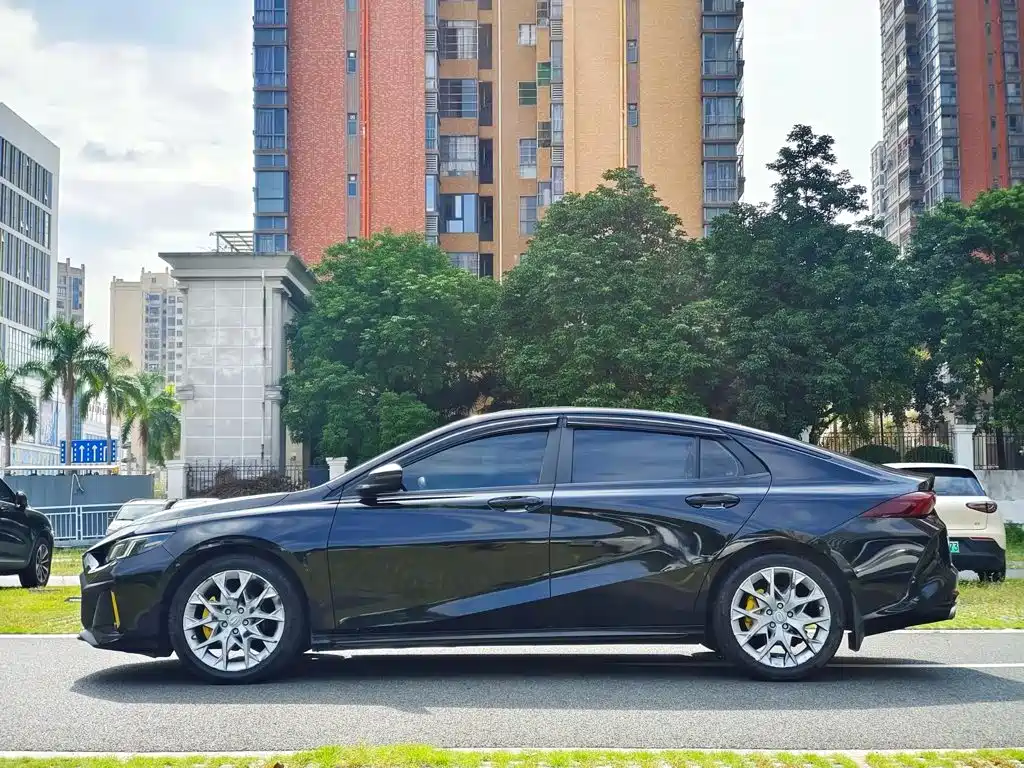 GAC Motor Shadow Leopard — миниатюра 14