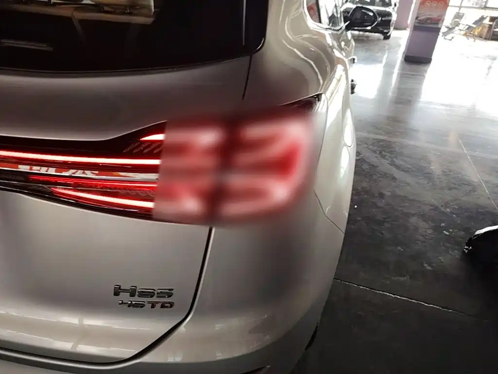 Hongqi Hongqi HS5 — миниатюра 8