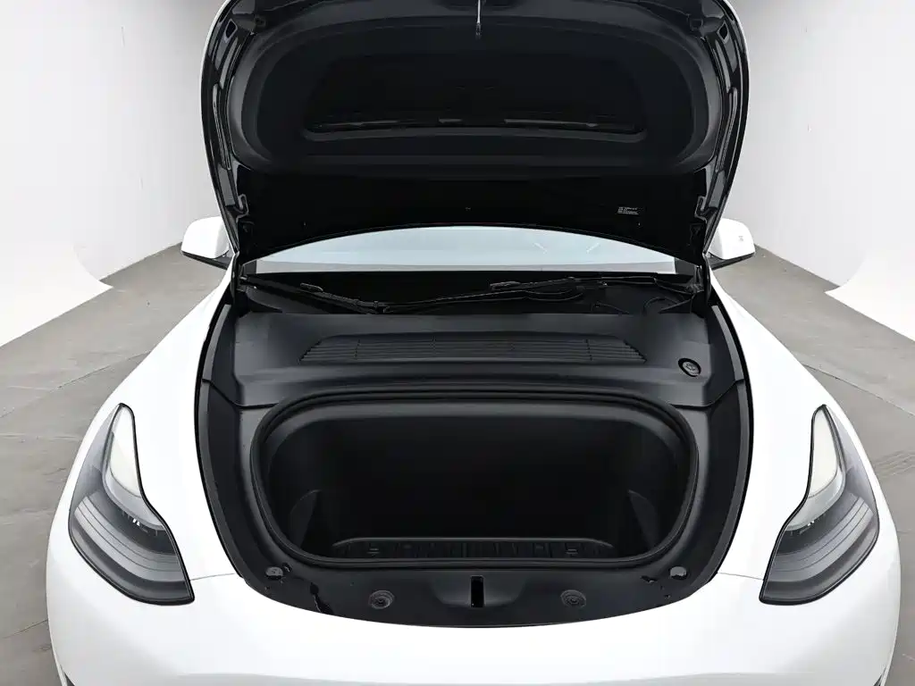 Tesla Model Y — миниатюра 17